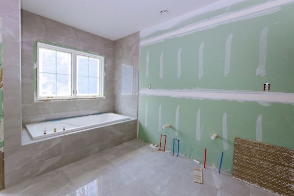 Bathroom Gutting in Lewisville